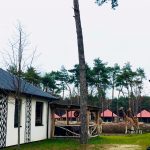 Safari Resort Beekse Bergen