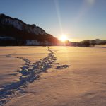 tips van een local Walchsee